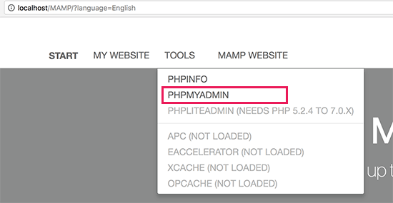 Откройте phpMyAdmin в MAMP