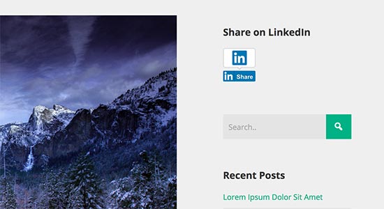 Кнопка публикации в LinkedIn на боковой панели