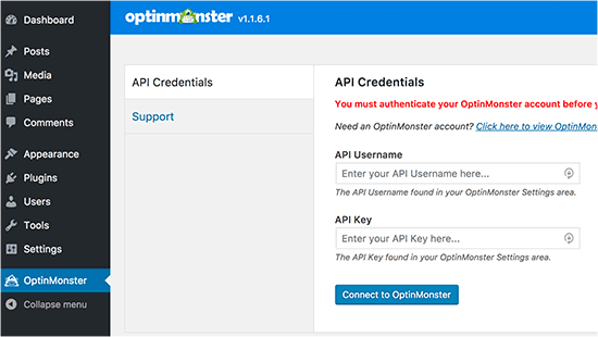Введите свой ключ API OptinMonster