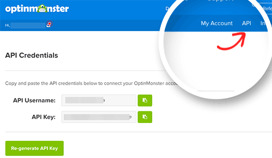 Скопируйте имя пользователя и ключ API OptinMonster