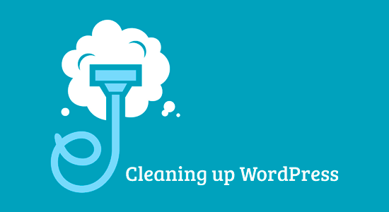 Очистка WordPress