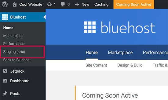 Вариант промежуточного сайта на Bluehost