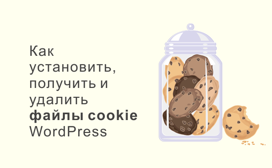 Как установить, получить и удалить файлы cookie в WordPress